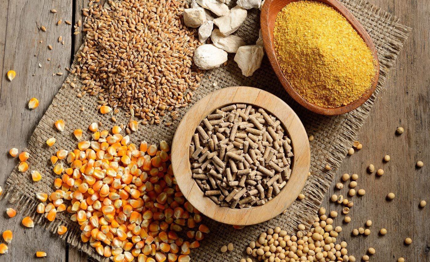 حبوب ومواد علفية متنوعة من الأعلى